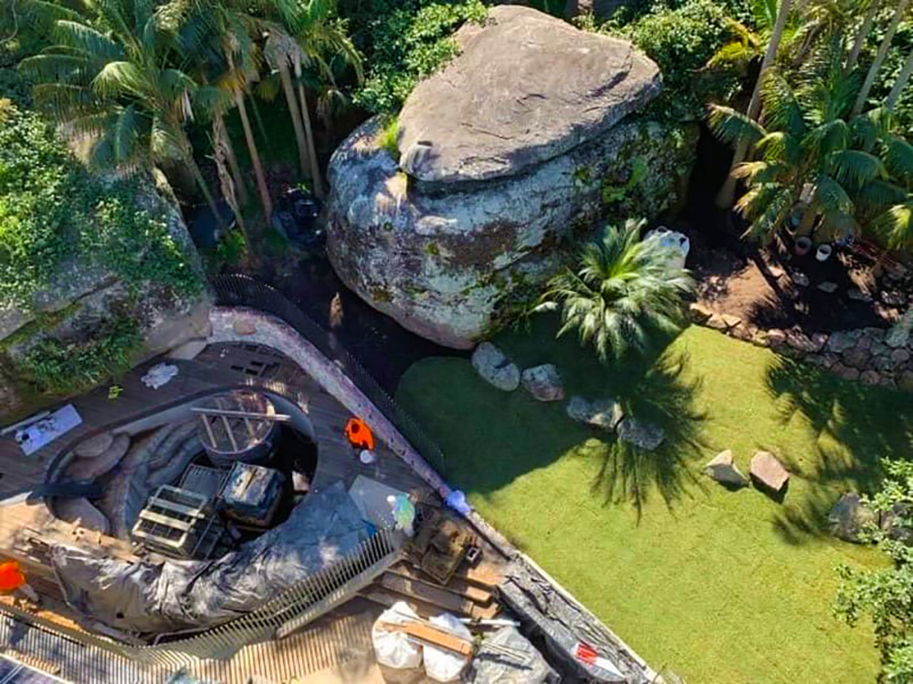 palm beach house northern beaches architects